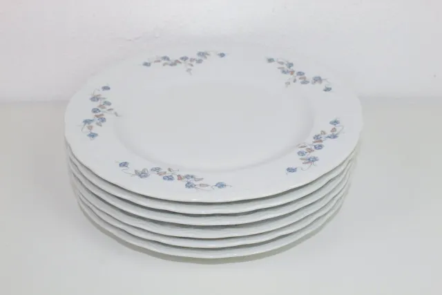 Mon Ami(e) Vintage Set aus 6 flachen Tellern Seltmann Weiden Julia