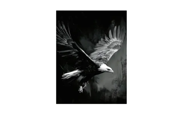 alpina design Eagle Wandbild Adler Schwarz-Weiß