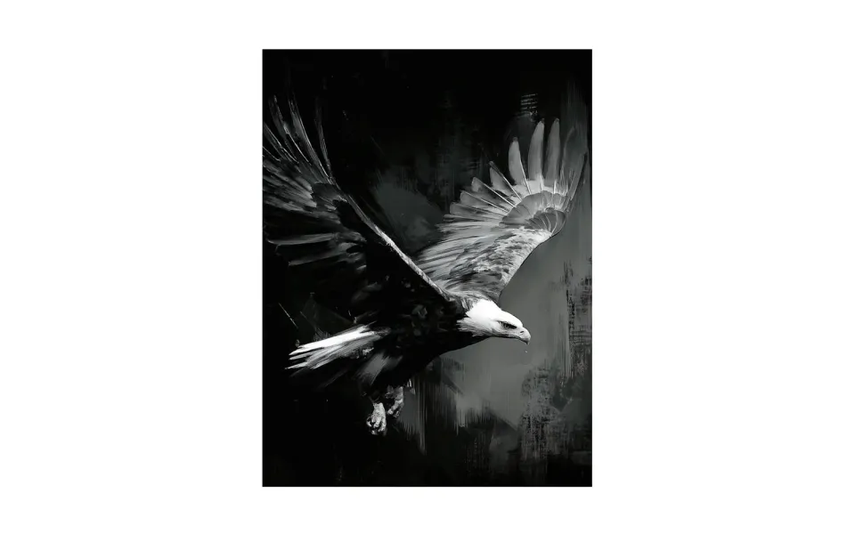 alpina design Eagle Wandbild Adler Schwarz-Weiß