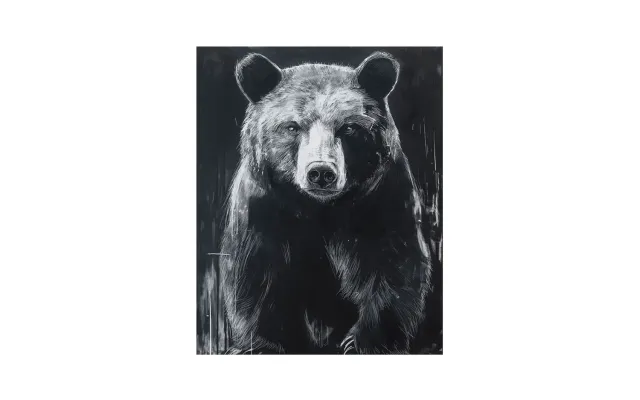 alpina design Bear Leinwandbild Bär Natur