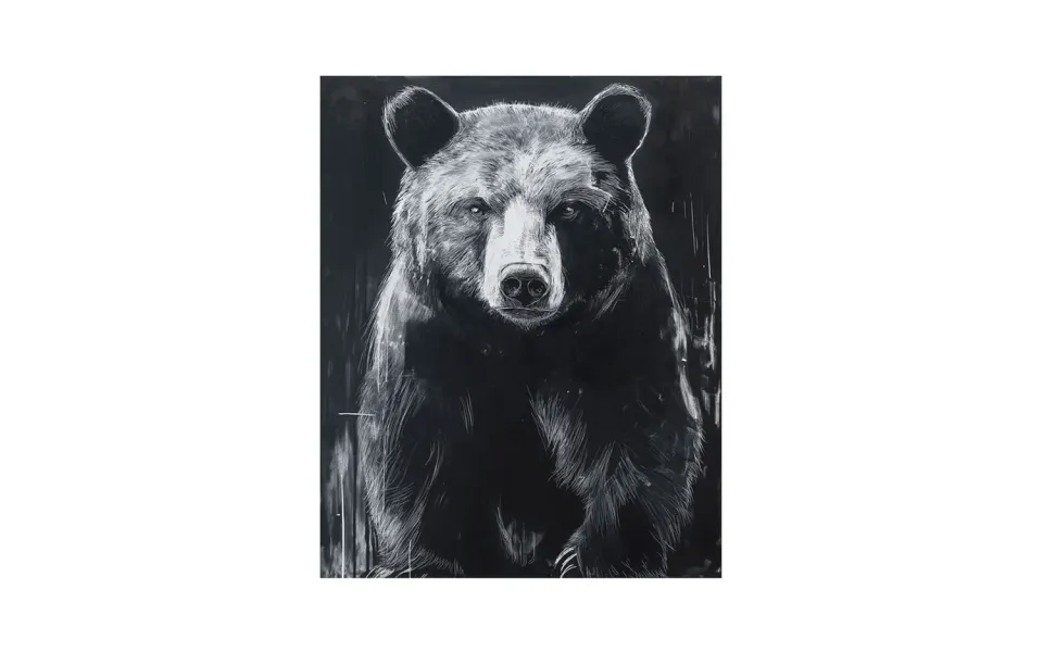 alpina design Bear Leinwandbild Bär Natur