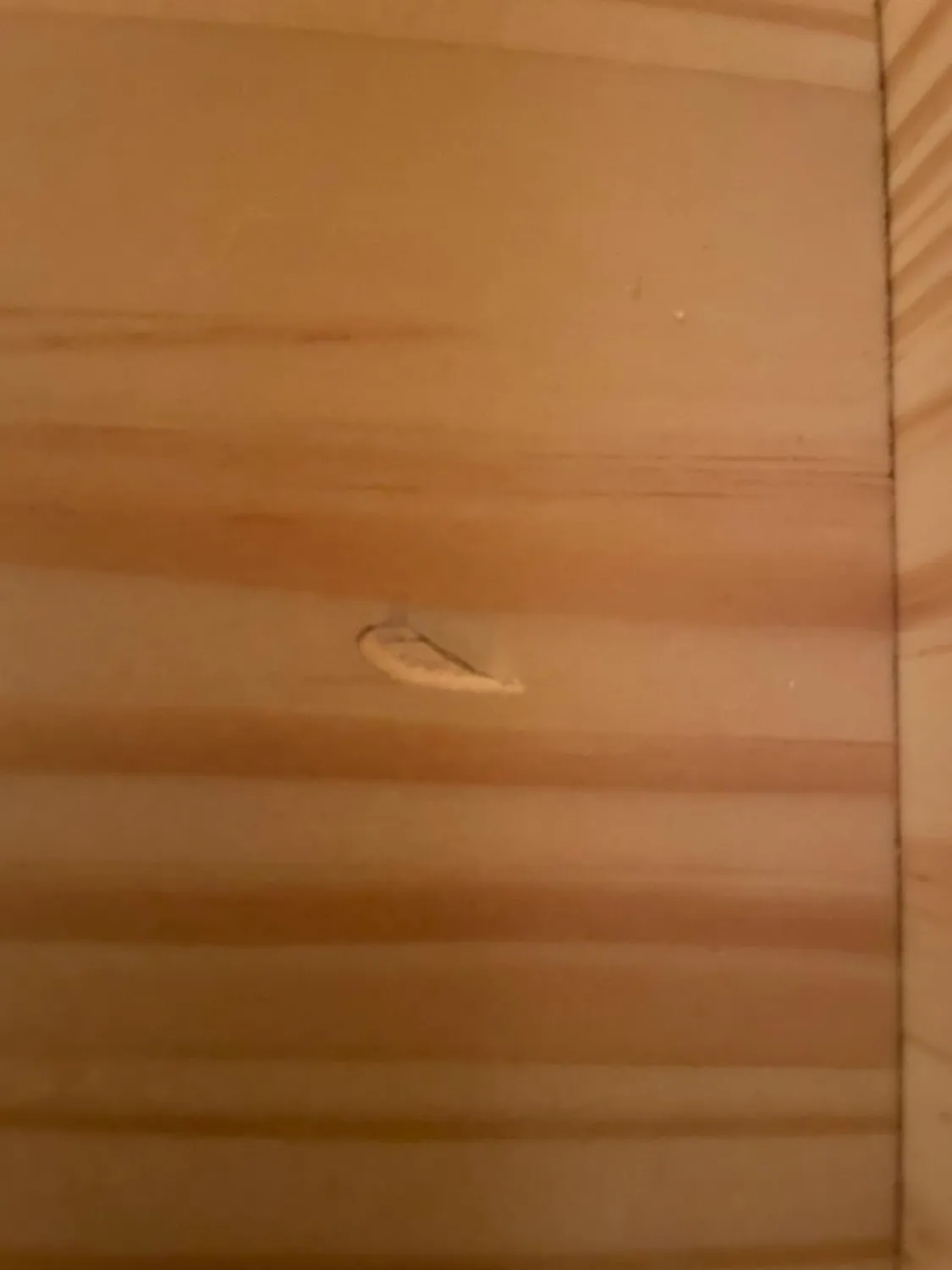 Inter Link Pelle Kleiderschrank