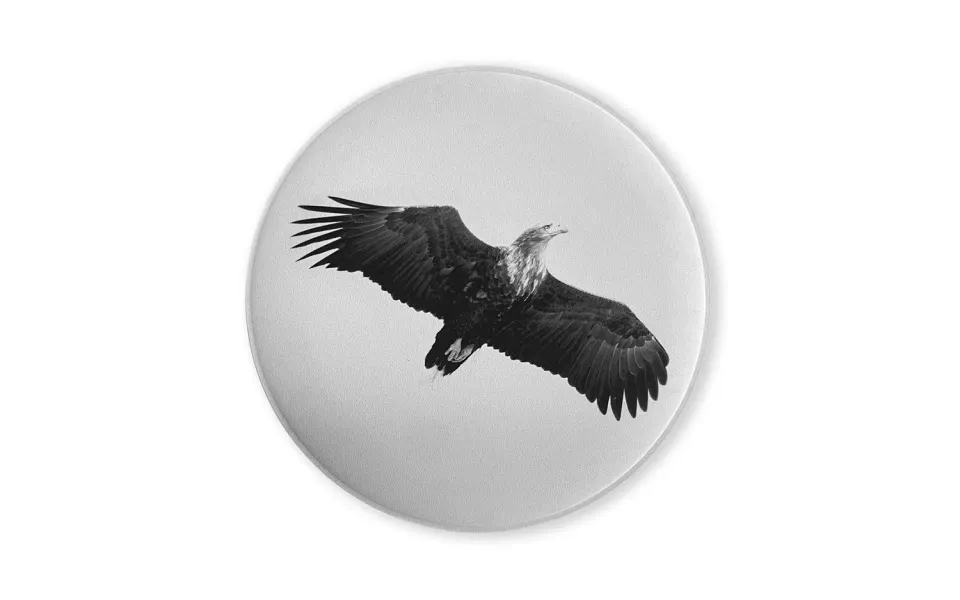 alpina design Snowsound Akustikpaneel