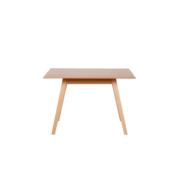 Kundler Home Der Natürliche Esstisch 110x75 Buche massiv