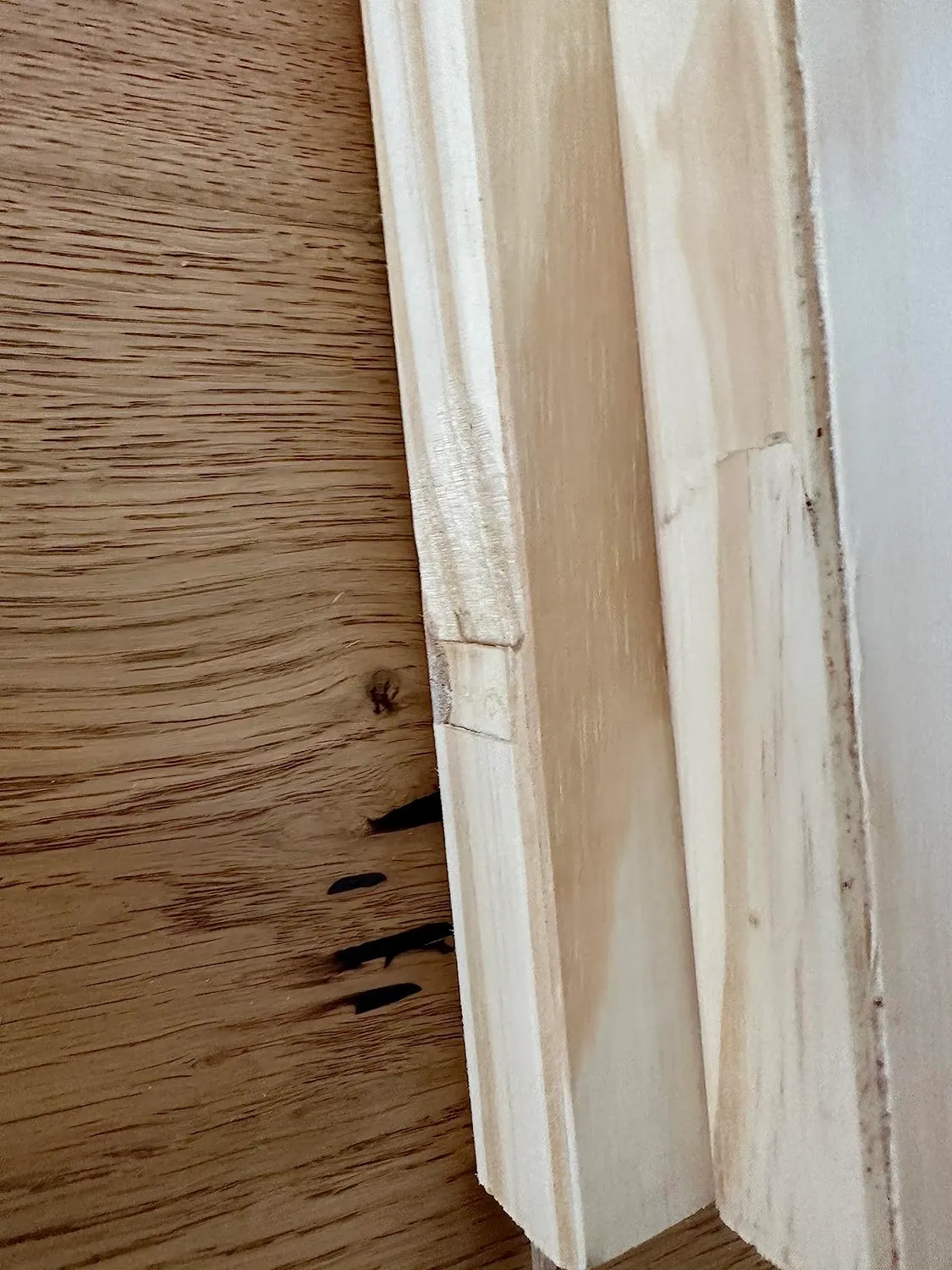 Inter Link Funktionsbett mit Ausziehbett